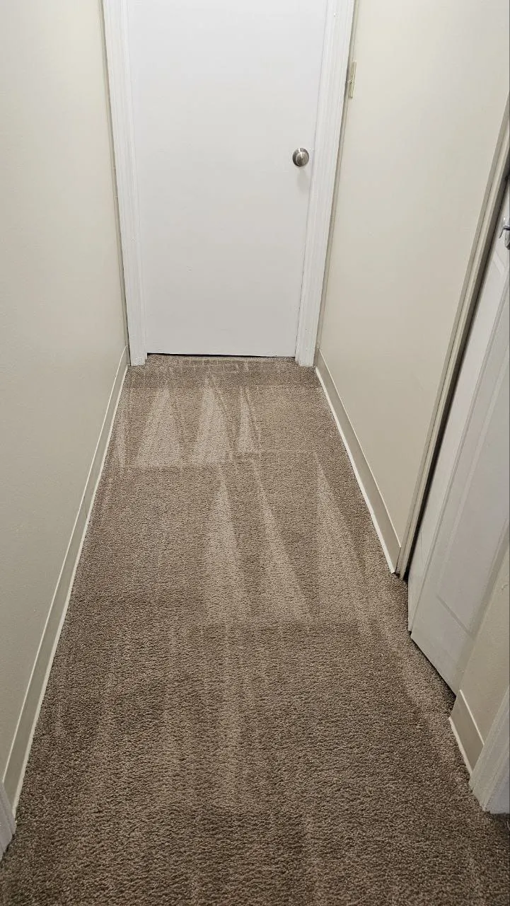 A hallway carpet with fresh, straight vacuum lines